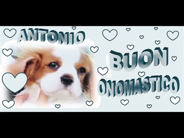 Sant'Antonio onomastico: frasi, immagini e video per dire &quot;Tanti auguri