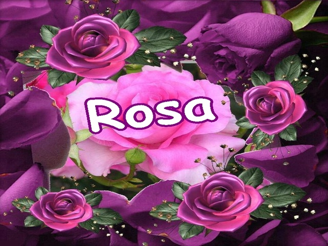 Rosa Onomastico Significato Del Nome Curiosita E Tante Idee Per Gli Auguri A Tutto Donna