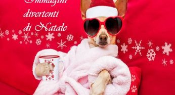 Immagini Simpatiche Babbo Natale.Auguri Di Natale Divertenti 102 Pensieri Simpatici E Battute Su Questa Festivita A Tutto Donna